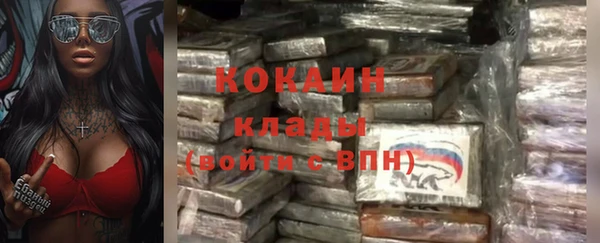 сатива Аркадак