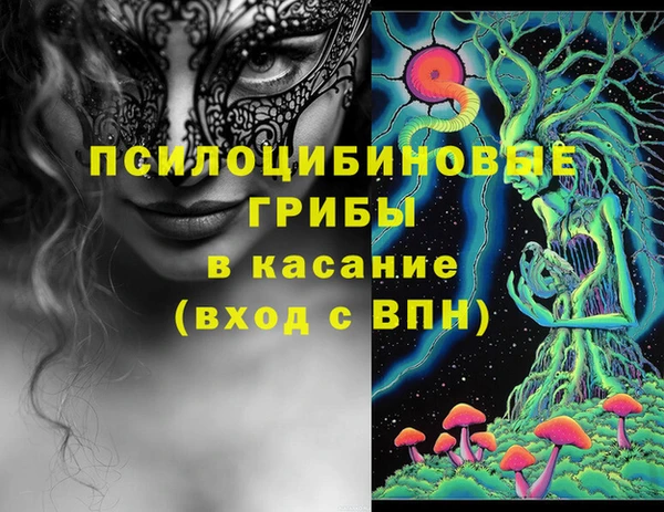 ПСИЛОЦИБИНОВЫЕ ГРИБЫ Арсеньев