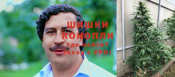 ГАЛЛЮЦИНОГЕННЫЕ ГРИБЫ Балахна
