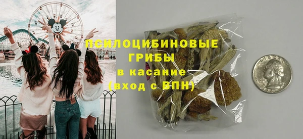 ГАЛЛЮЦИНОГЕННЫЕ ГРИБЫ Балахна