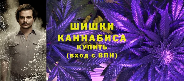 ПСИЛОЦИБИНОВЫЕ ГРИБЫ Арсеньев
